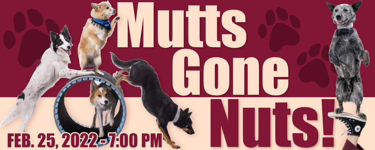 Mutts Gone Nuts